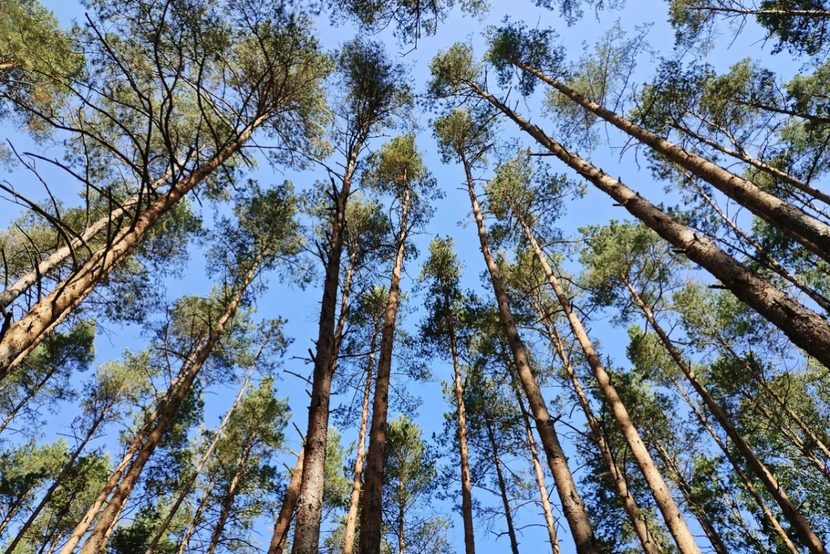    Фото: Denis / Яндекс карты