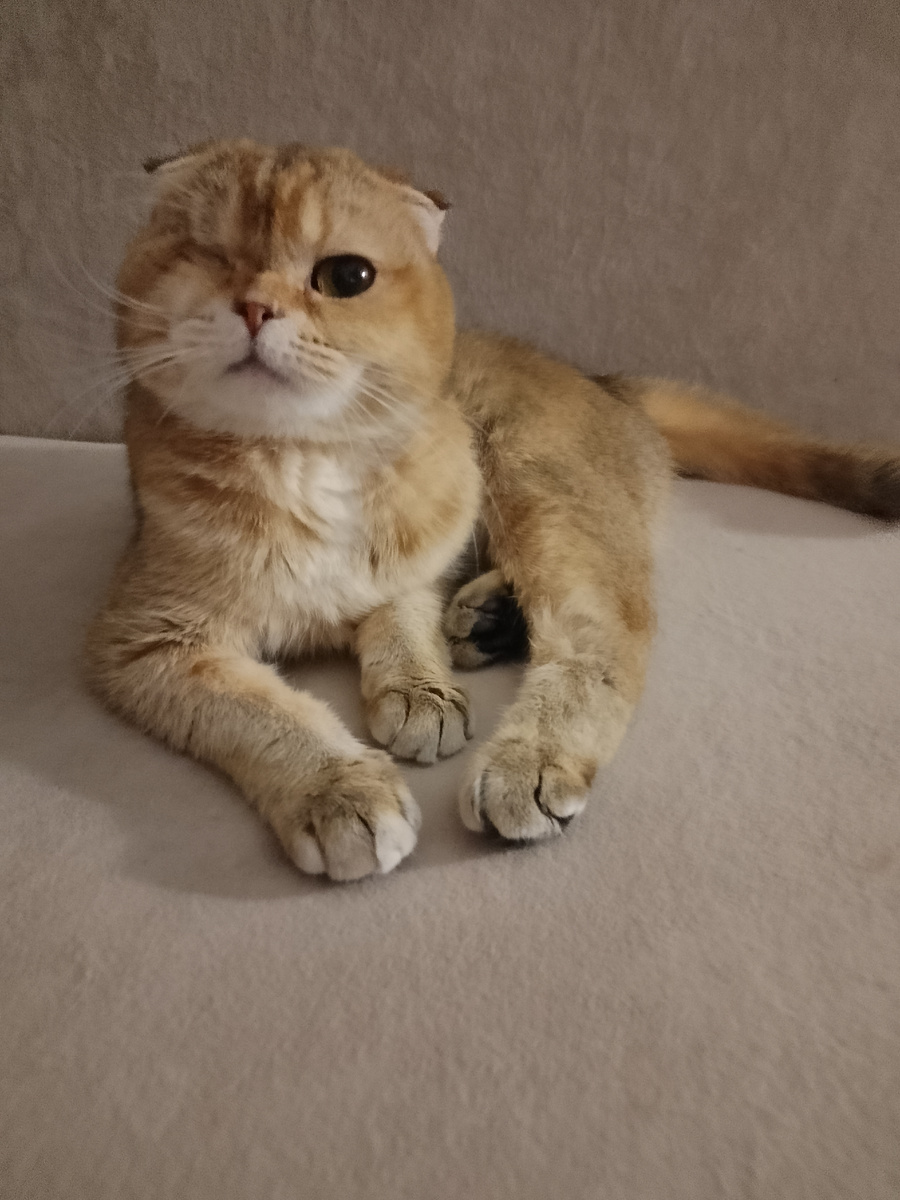 И где благодарность? 