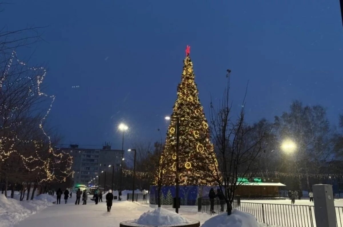    Сотни праздничных елей установили в районах Новосибирска