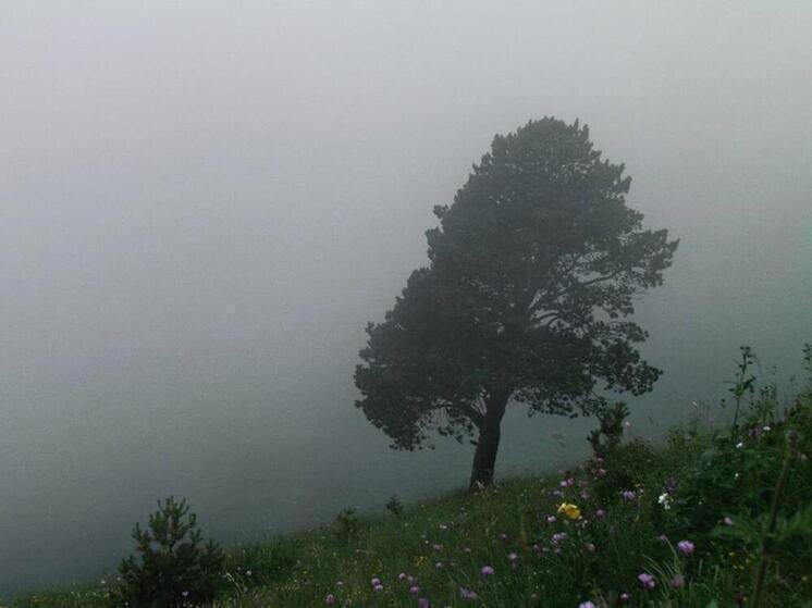     Фото: МК в Сочи