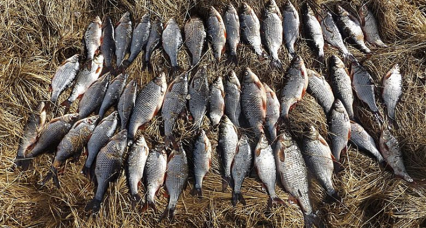    Официальная страница в ВК Георгия Филимонова