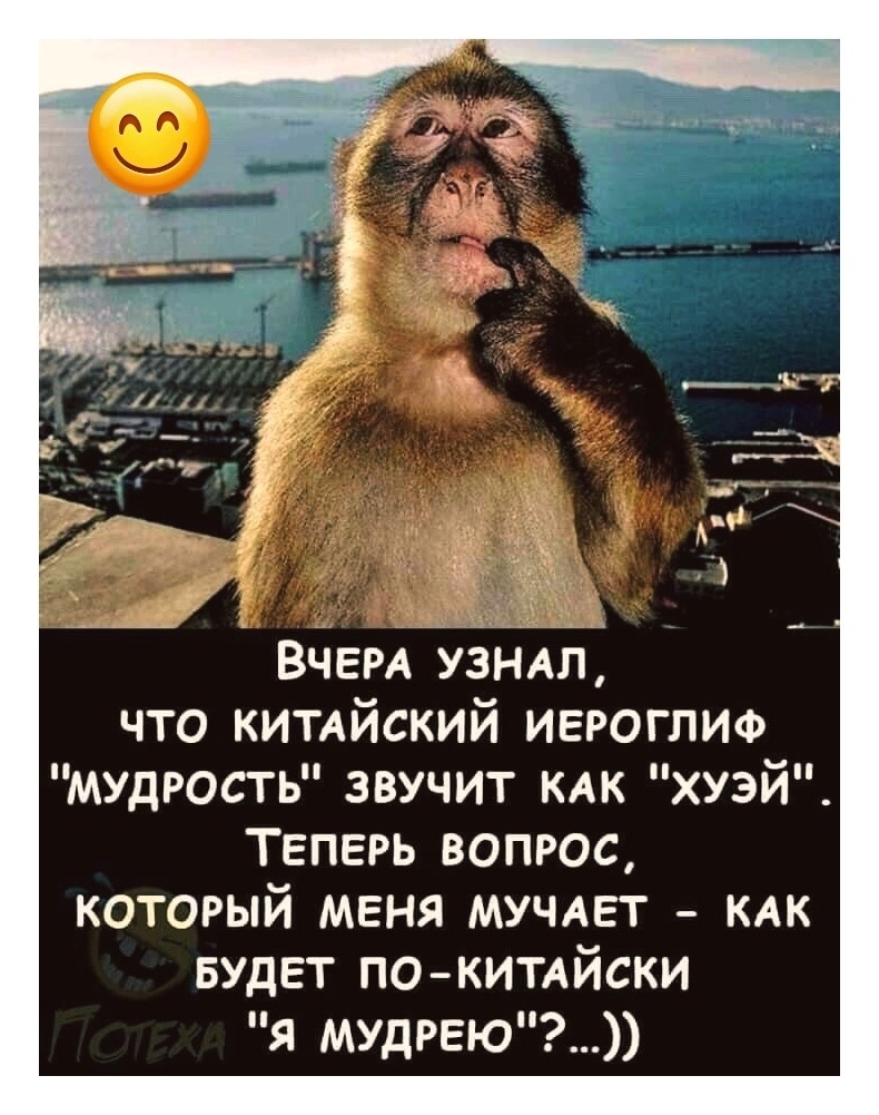 Смех из социальных сетей! Забавные шутки, забавные случаи и веселые рассказы. Фото взято из общедоступных ресурсов соцсетей.