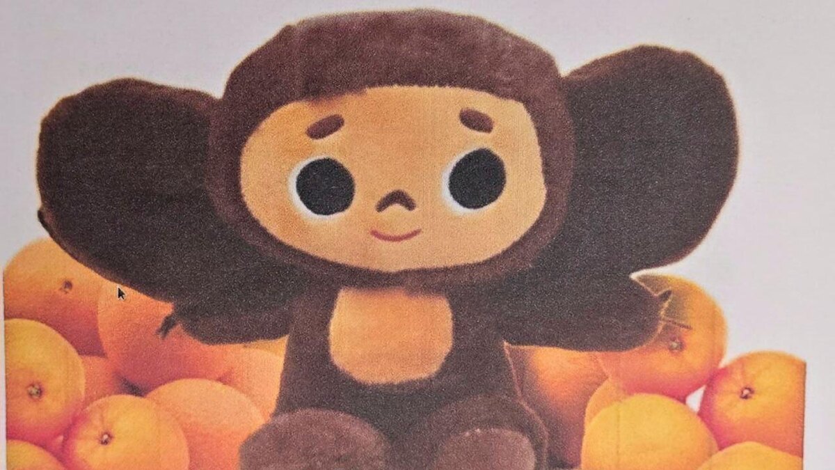    Фото: t.me/SPbGS