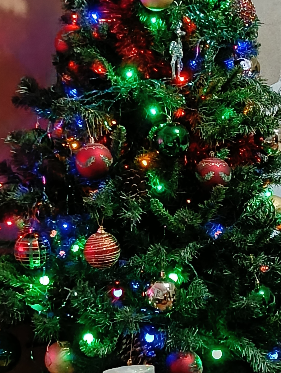 Наша елочка