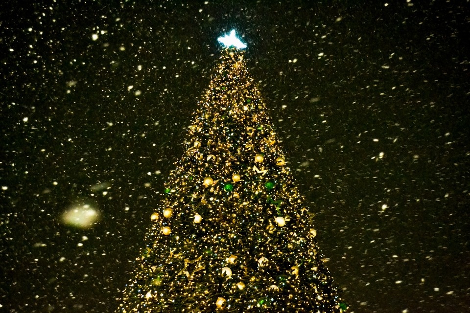    Фото: архив КП. Даниил ОПАРИН