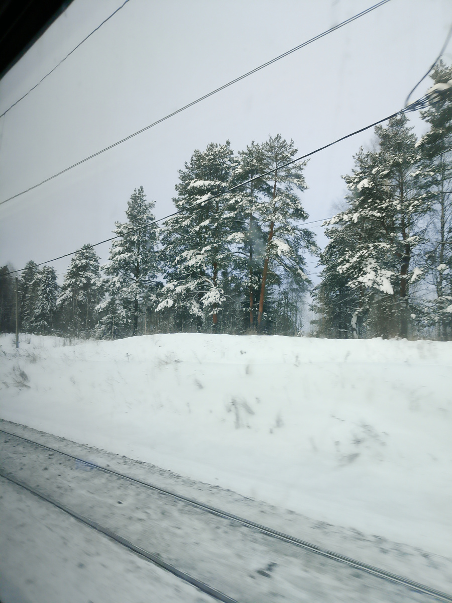 Природа за окном вагона