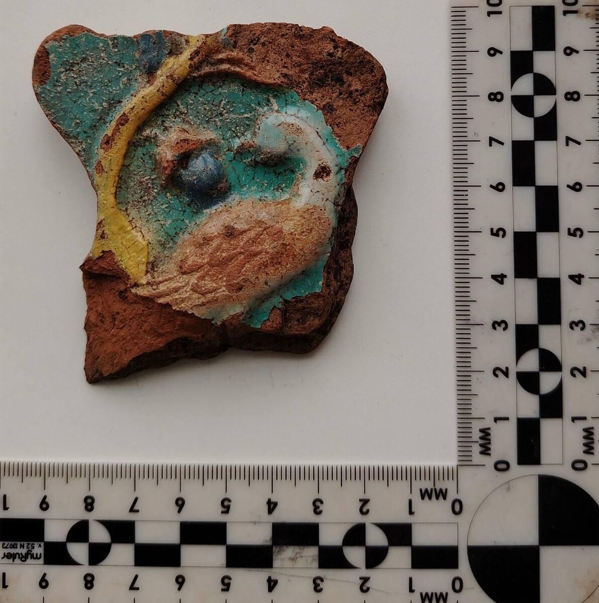    © telegram-канал "Пермский университет | ПГНИУ"