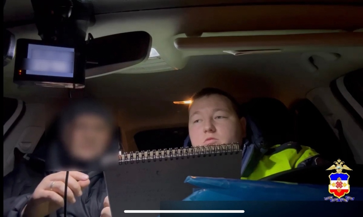 Скриншот из видео МВД по Марий Эл