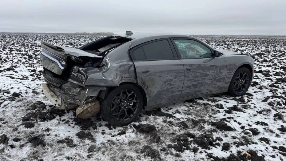    Автор фото: пресс-служба регионального ГУ МВД