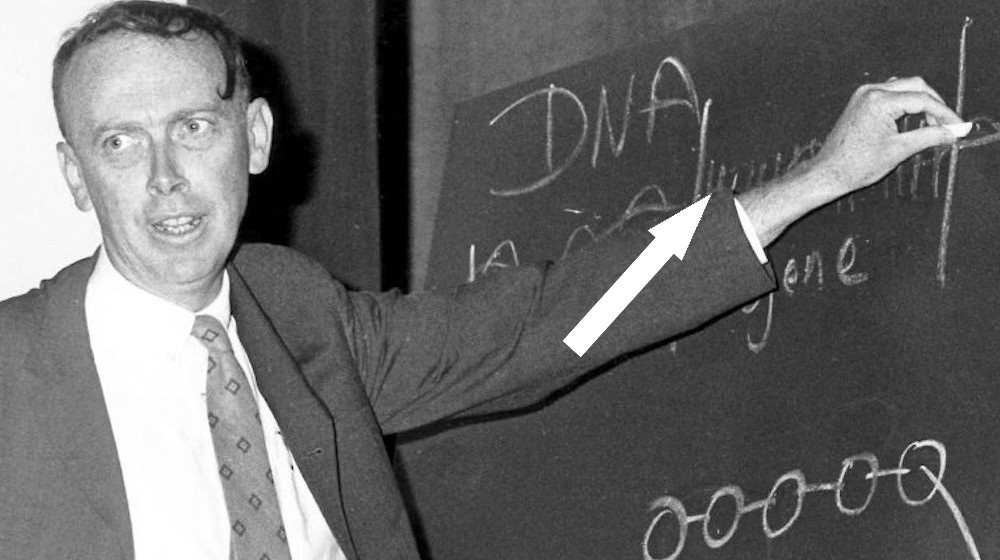    ПРОПАВШИЙ ГЕНИЙ: УМИР НАСТОЯЩИЙ ЛИЧНОСТЬ НАУКИ 97 ЛЕТ