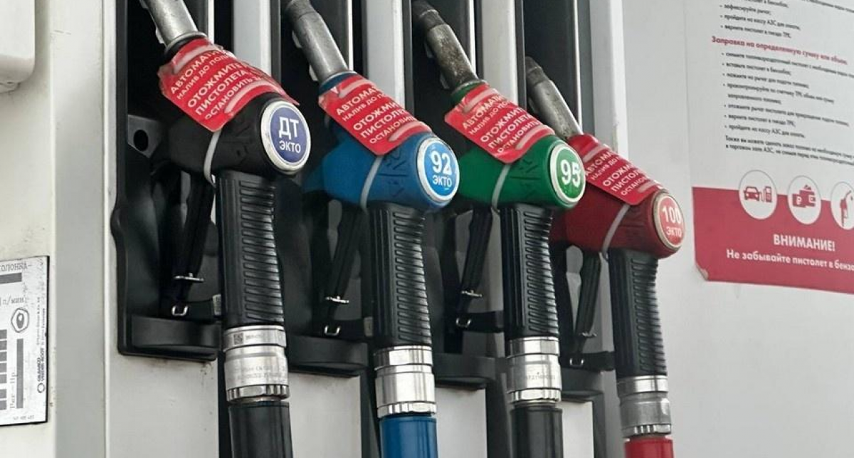    Фото с сайта ih.vgoroden.ru