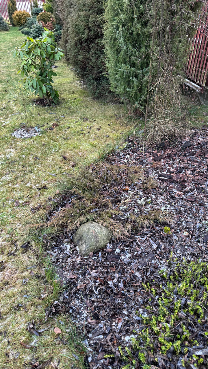 Попробуй найти! Возле камня 😁