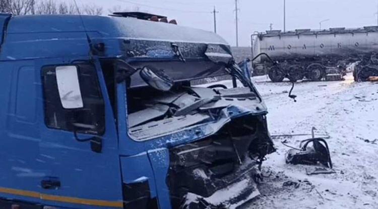 Фото: пресс-служба УМВД по Белгородской области