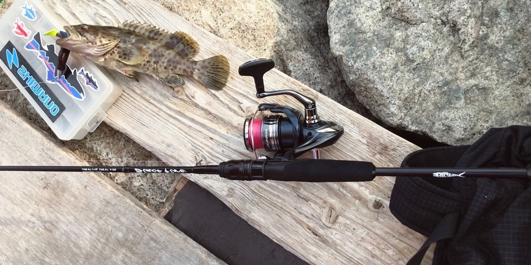 Сосед смеялся над моим китайским спиннингом - пока не увидел мой улов