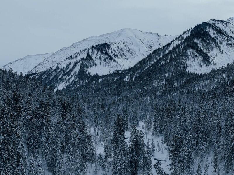 © Фото: Александр Данадоев | t.me/aleksandr_danadoev