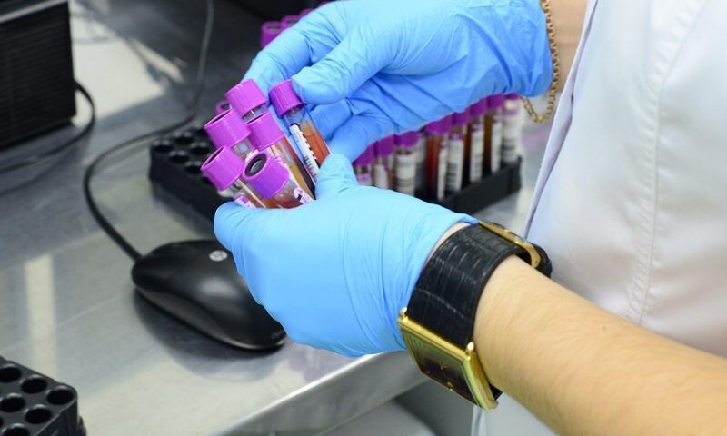    Фото Виктории Перевязко, «Кубань 24»