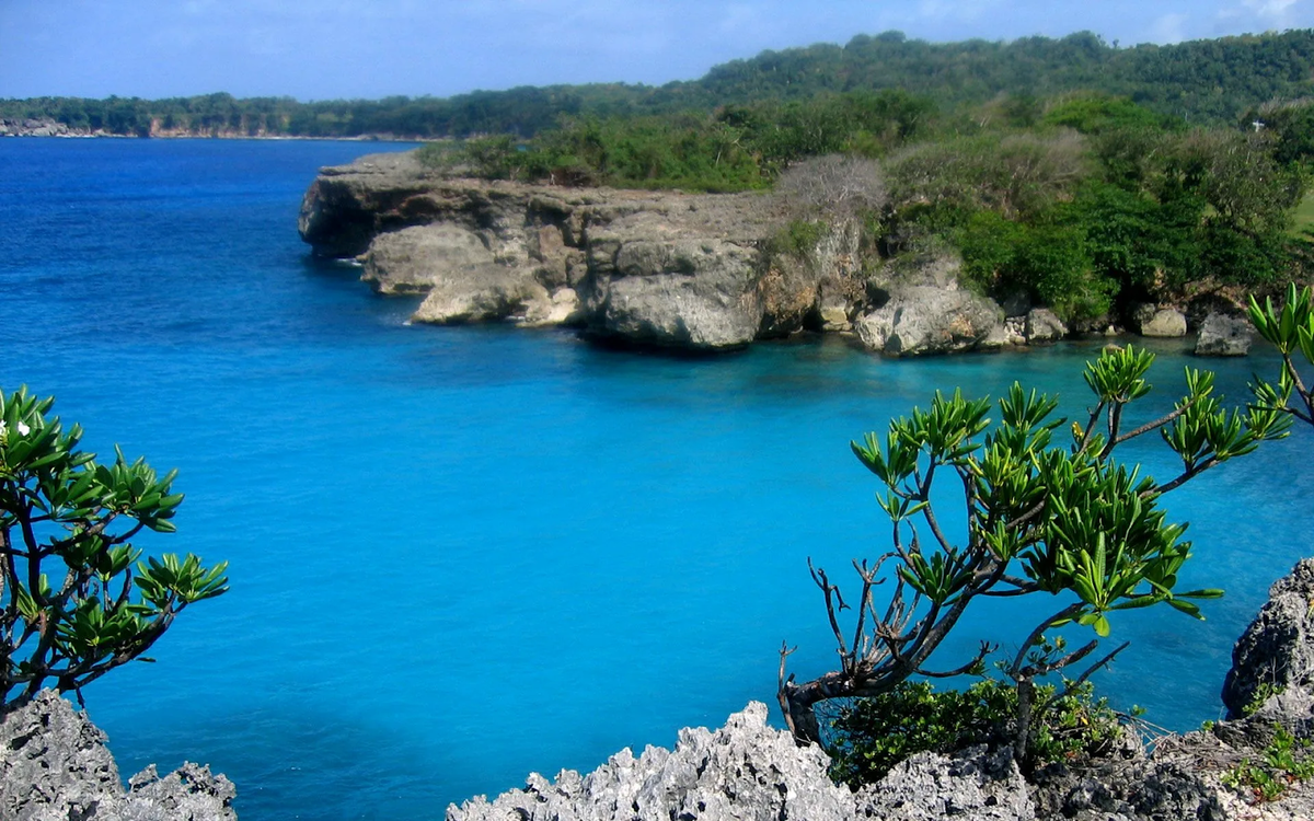 Голубая лагуна в Порт-Антонио — место невероятной красоты, где пресная вода из подземных источников смешивается с теплым Карибским морем, создавая уникальный бирюзовый оттенок.