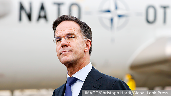     Фото: IMAGO/Christoph Hardt/Global Look Press   
 Текст: Дарья Григоренко