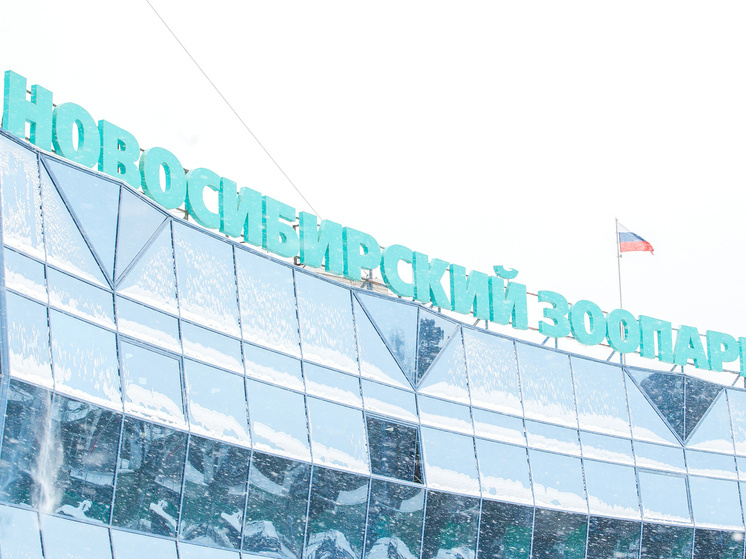     Фото: Сиб.фм