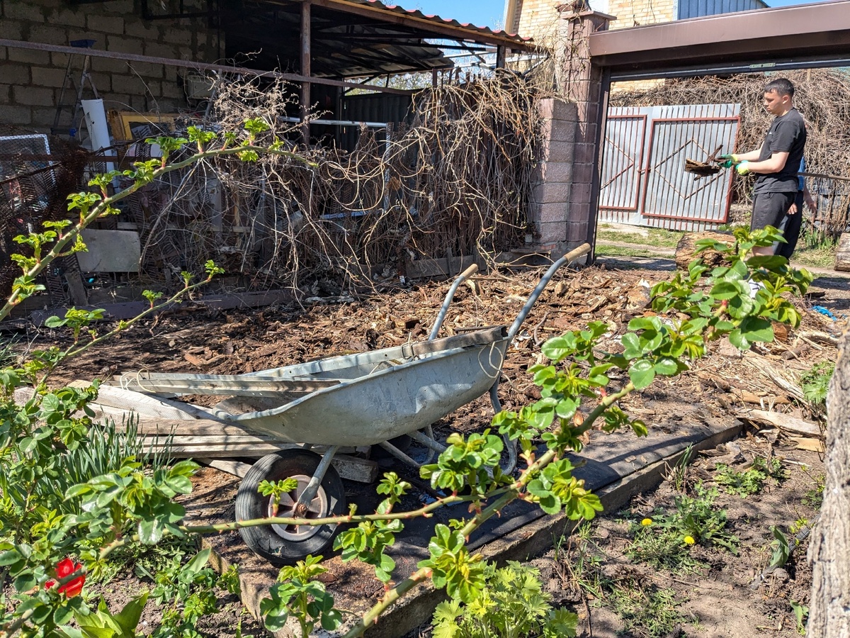 В этом углу сада у меня стало всё в порядке