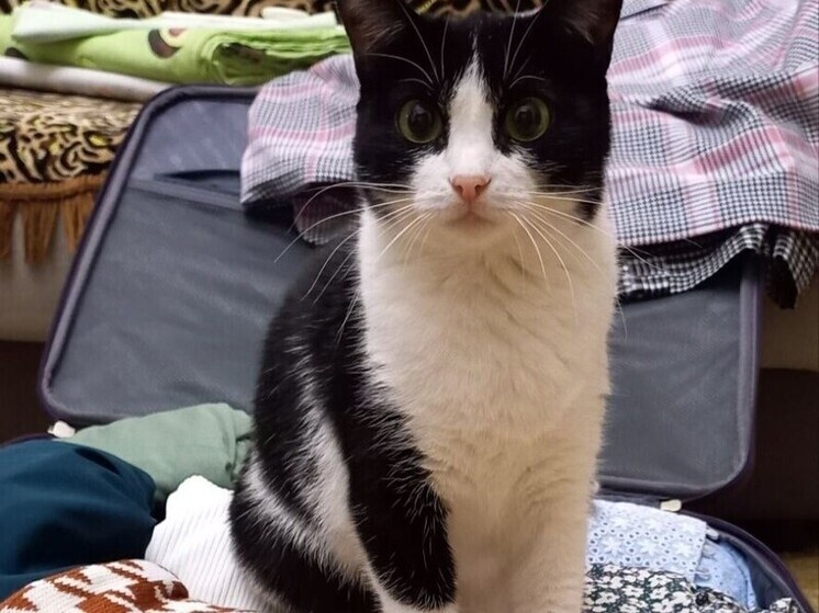     Фото: МК на Алтае/Анастасия Полторацкая