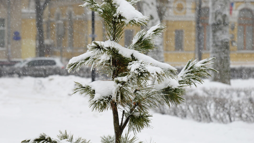 Фото: Игорь Елисеев / Коммерсантъ