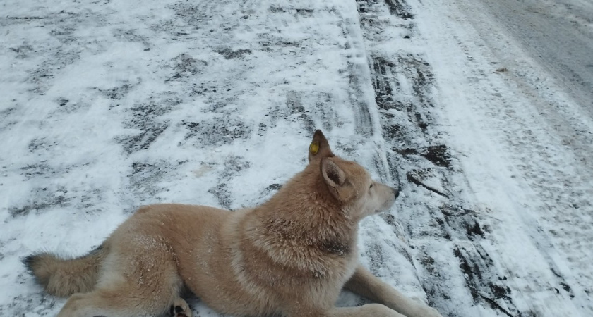    Фото: ПроГород