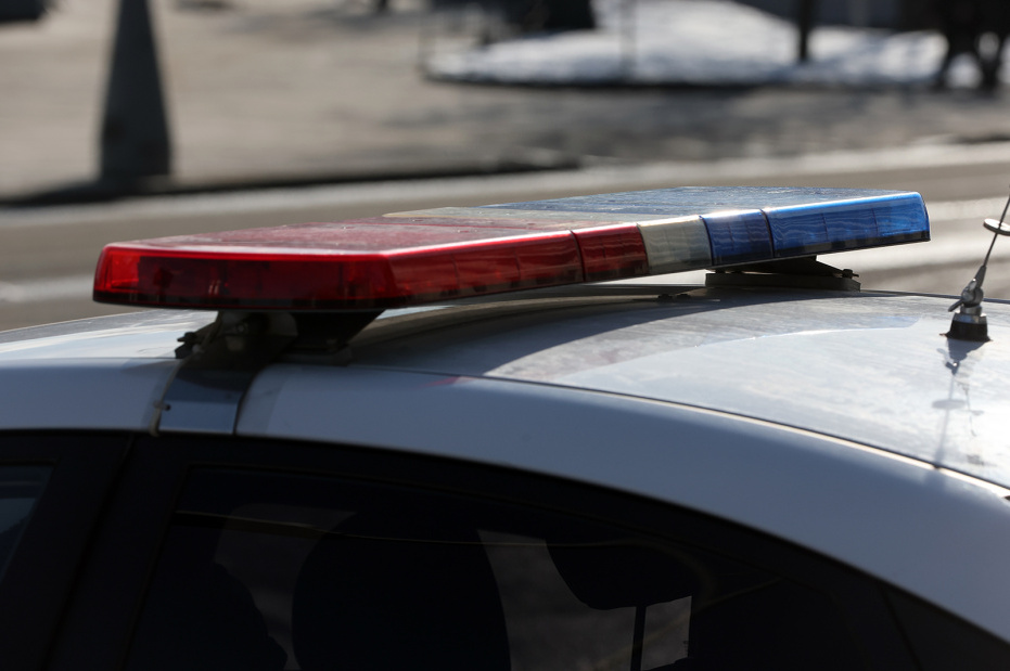    Алексей Белкин/NEWS.ru