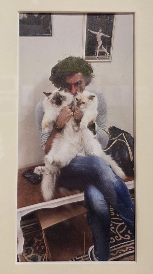 Николай Цискаридзе с кошками Габриэллой и Габриэлем