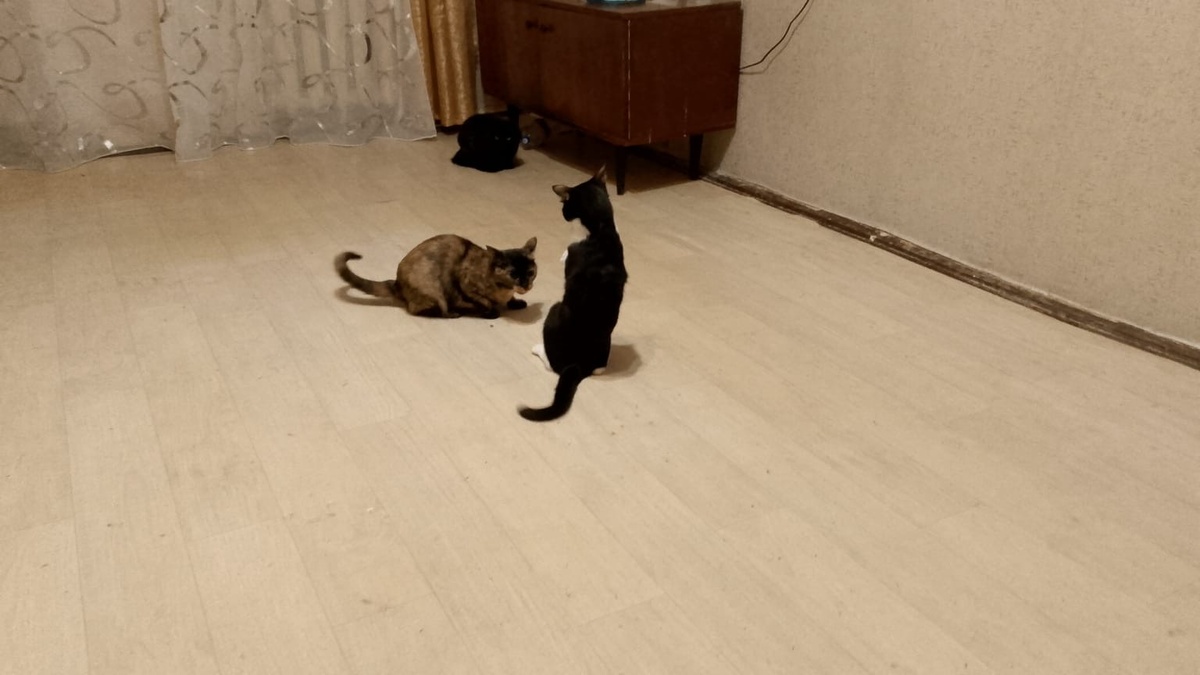 Фото моей квартира 