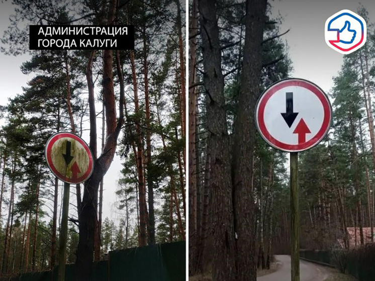     Фото: "МК в Калуге"