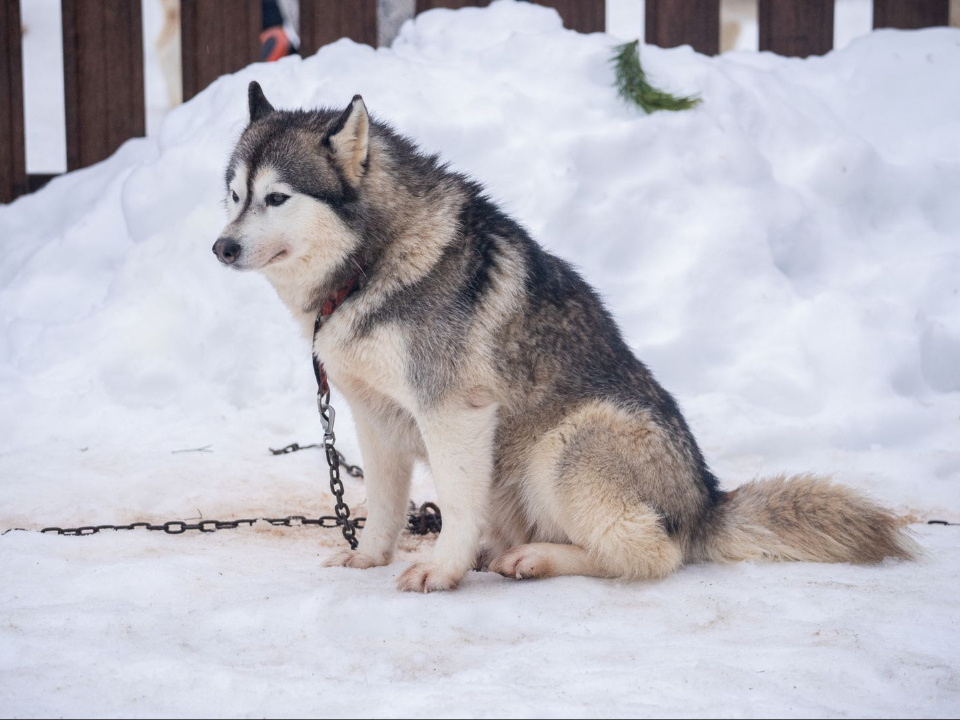    Фото: медиасток.рф