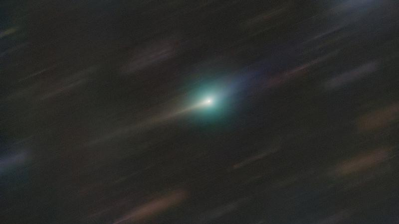 Предоставлено: Дэн Бартлетт.