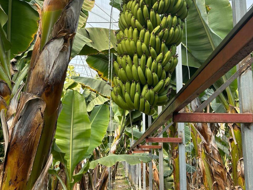    Фото: Компания «Щелково Агрохим»