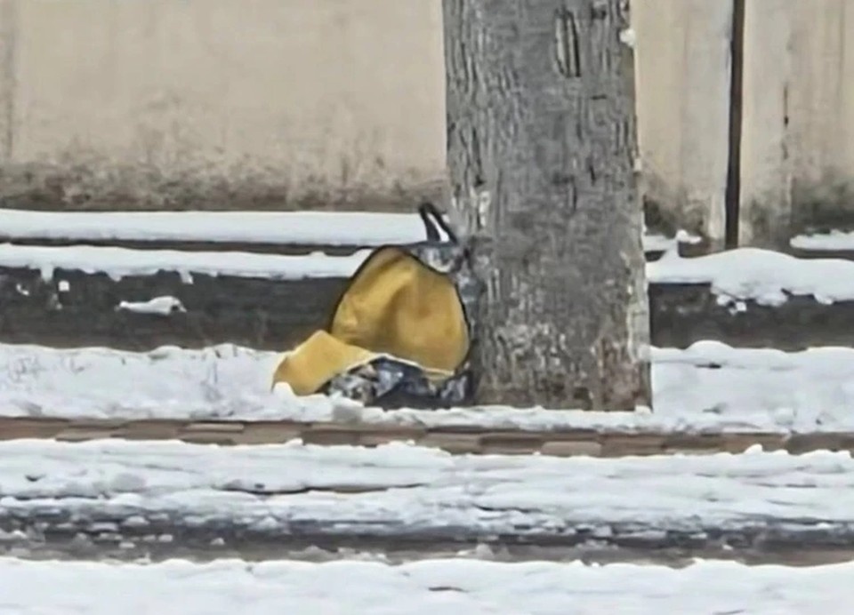    ФСБ показала видео задержания девушки, готовившей теракт в Ставрополе. Фото: ЦОС ФСБ