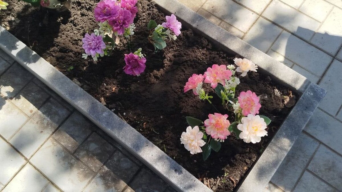    Фото: телеканал «Краснодар»