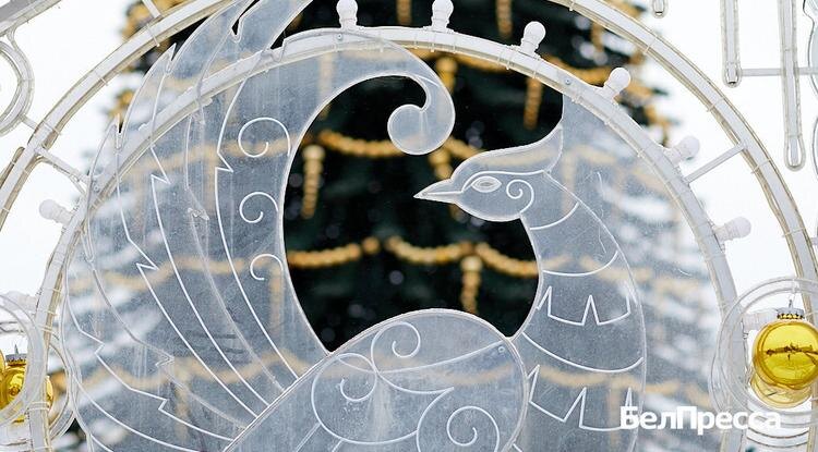 Фото: Елена Журавлёва