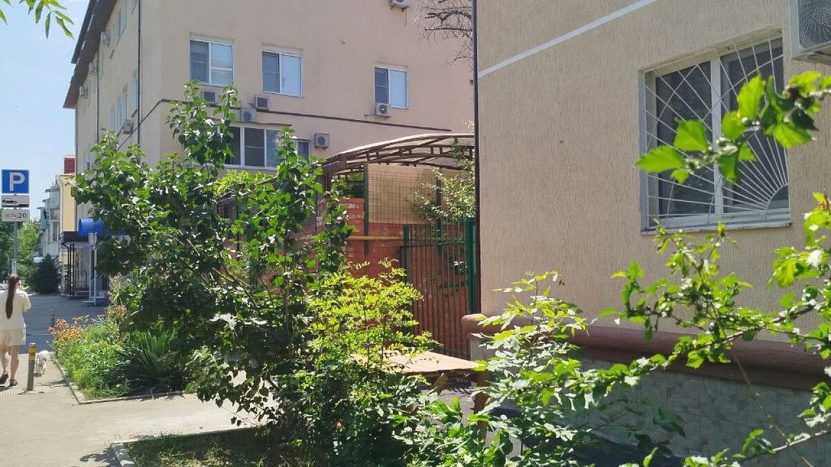    Фото: телеканал «Краснодар»