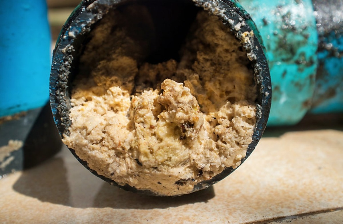    Из жира в трубах могут образовываться такие пробки. Источник изображения: iso.org