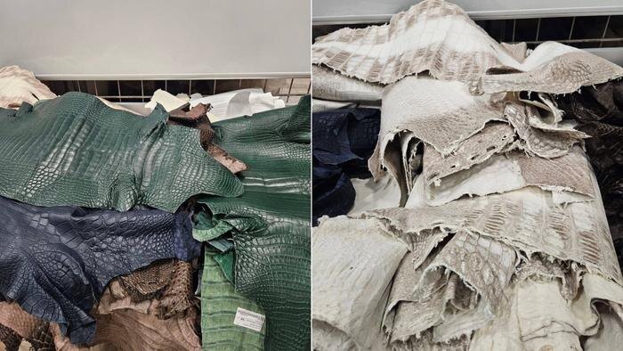 Более 50 шкур крокодилов обнаружили таможенники в багаже пассажира из Китая. Обложка © Предоставлено Life.ru