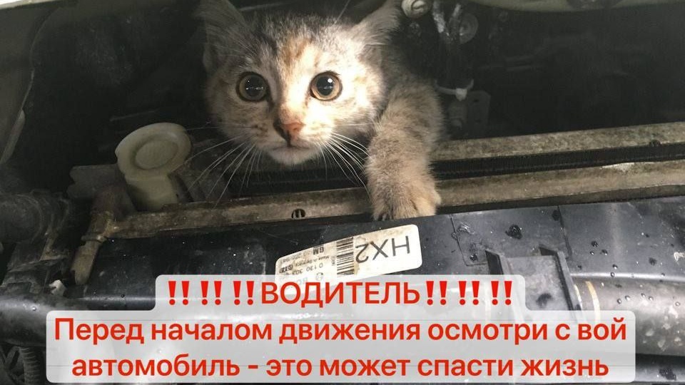 ДОРОГИЕ АВТОВЛАДЕЛЬЦЫ