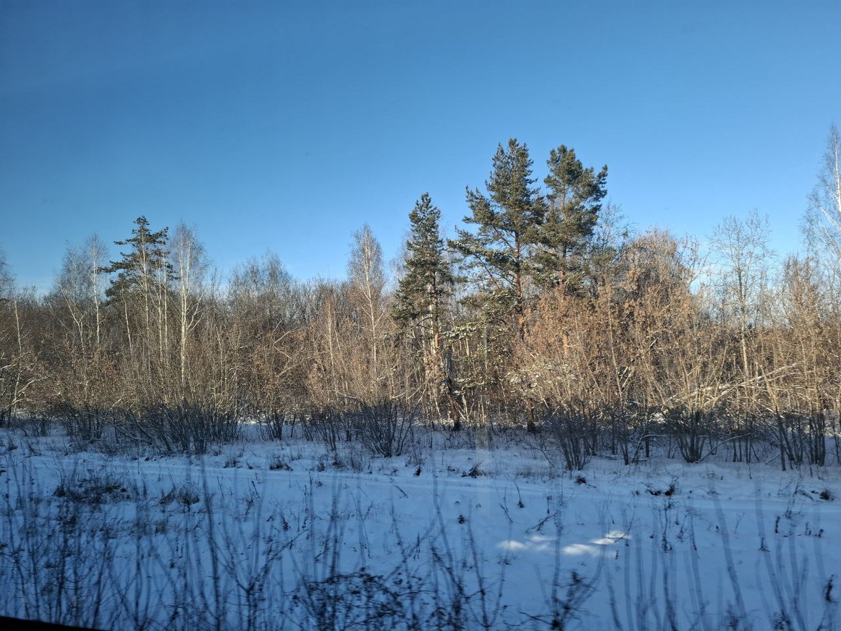 Еду в Ульяновск