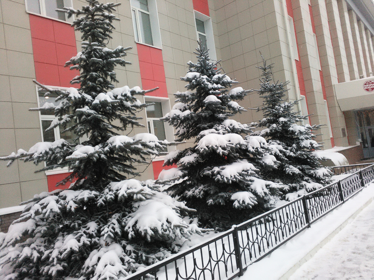 Фото автора.