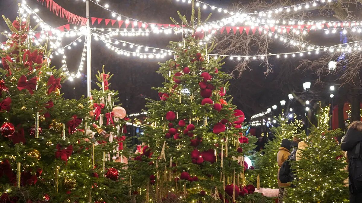    Фото: vm.ru Олеся Шмелева