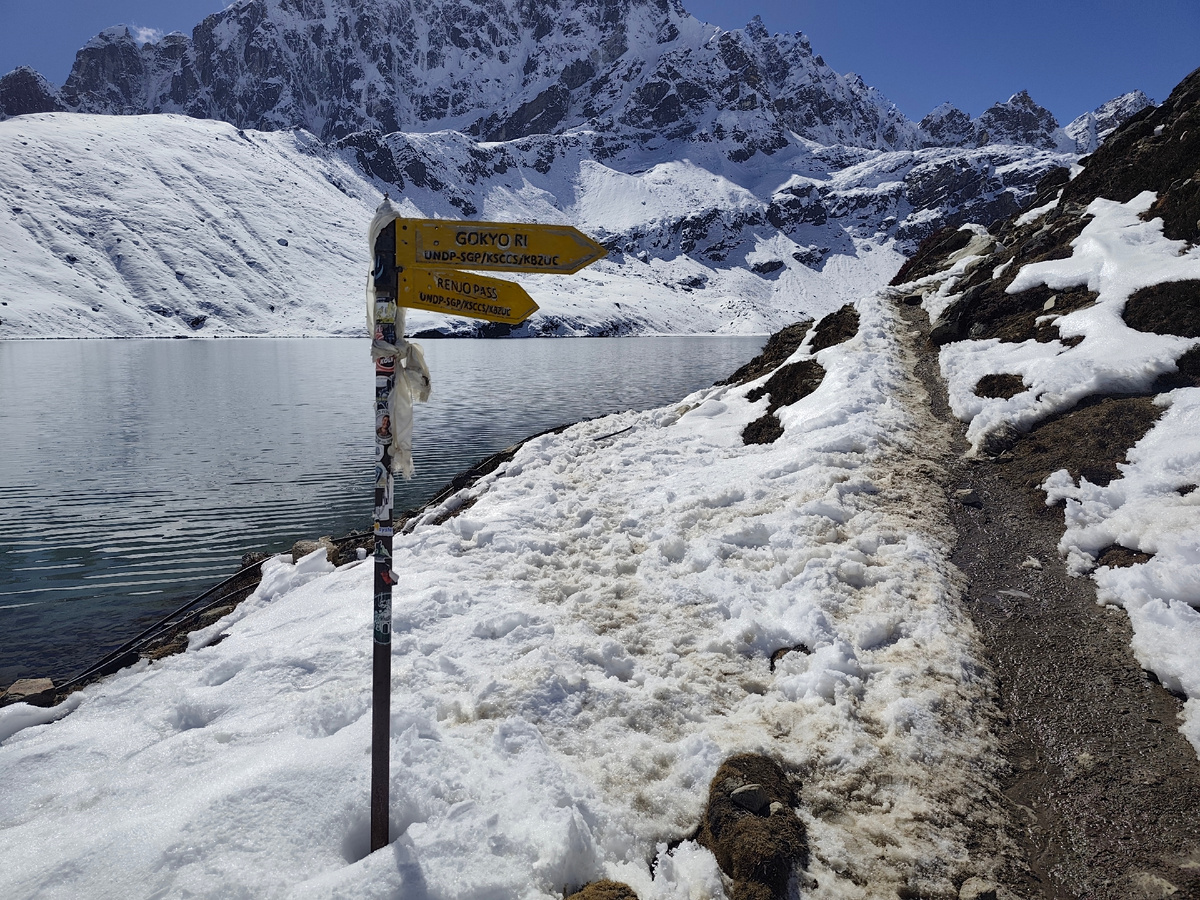Указатель на развилке троп