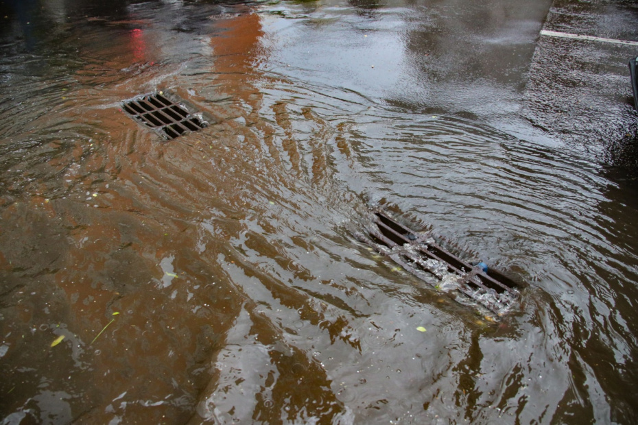    Сергей Лантюхов/NEWS.ru