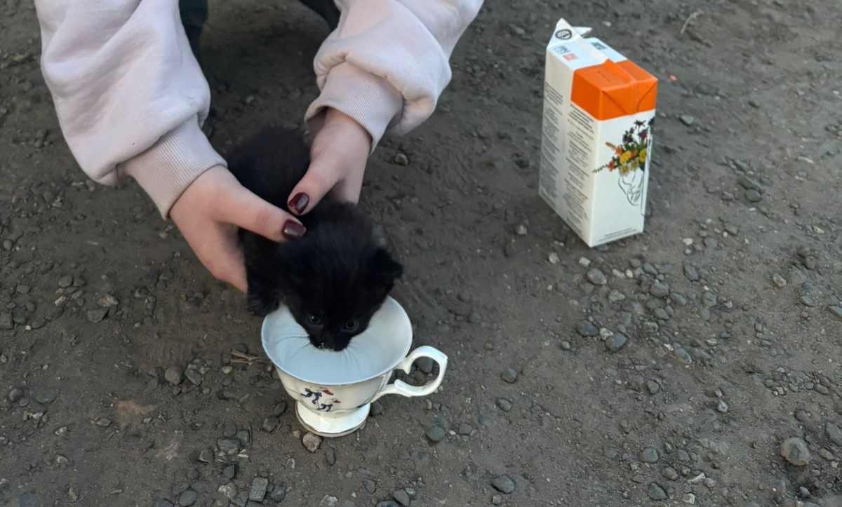 Фото автора