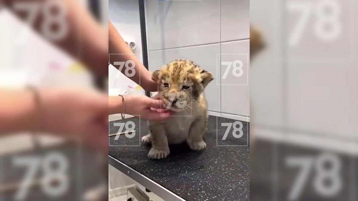    Фото: соцсети