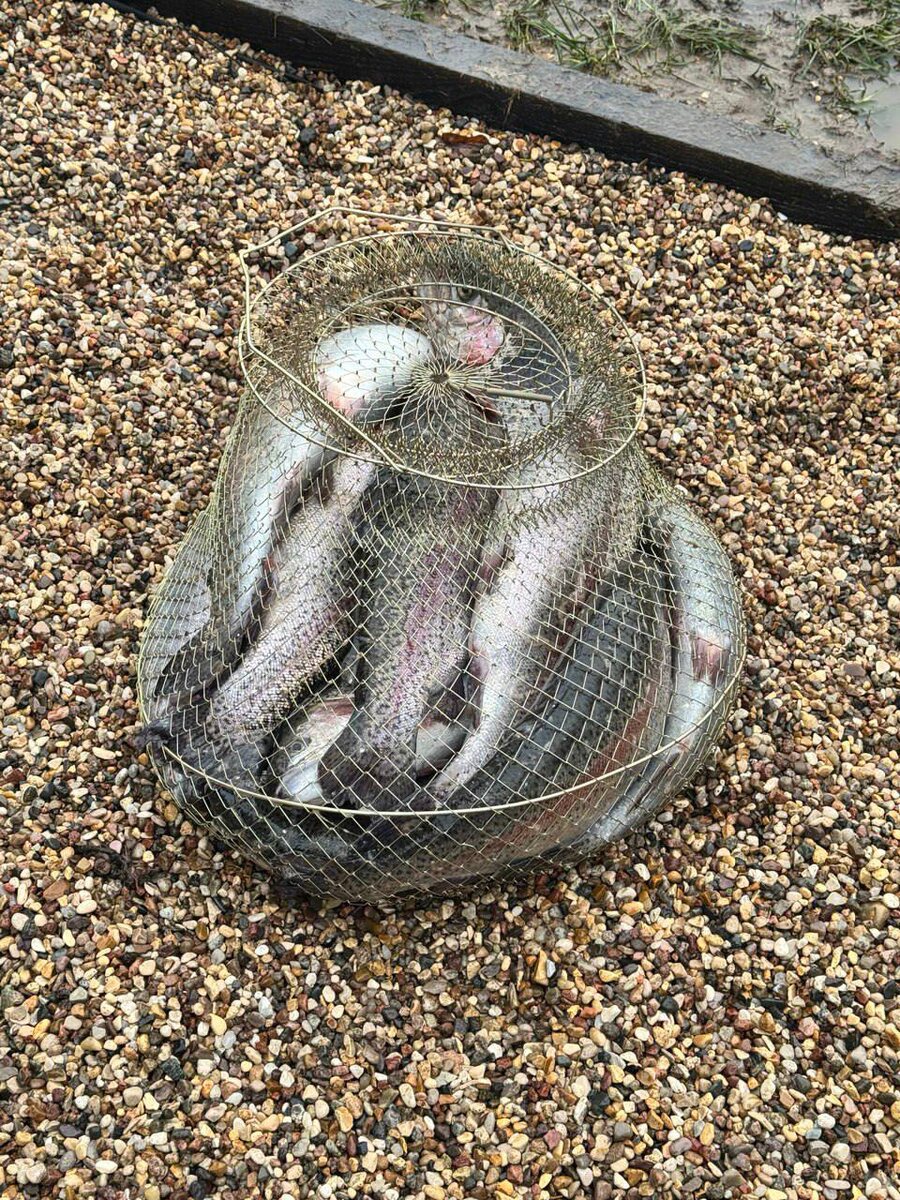 Тот, кто прочитал все статьи и познал "Дзен" в форелевой ловле.