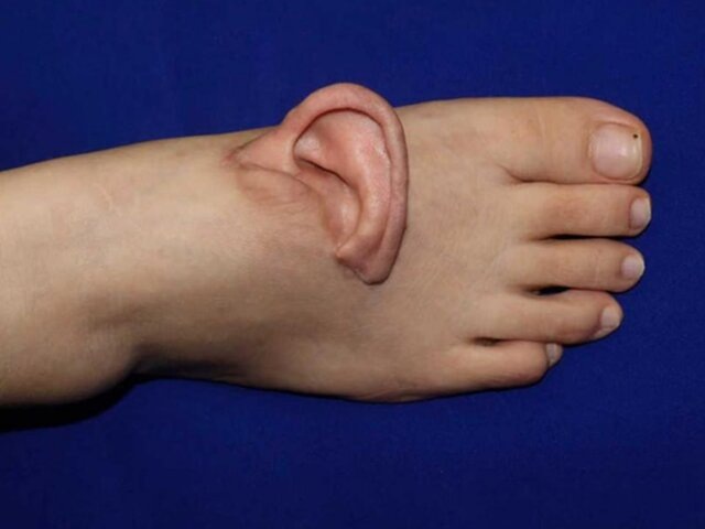    Фото: cj.sina.com.cn